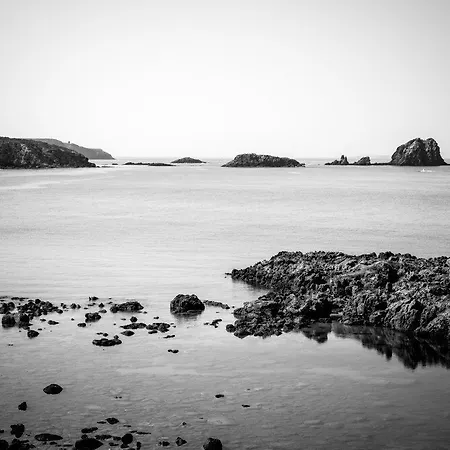 Fluxus 2* Tresnuraghes