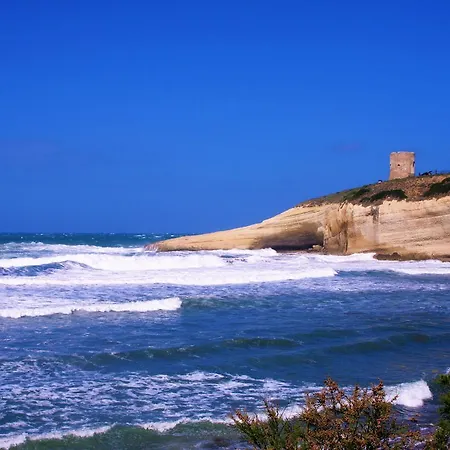 Fluxus 2* Tresnuraghes